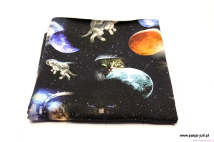 Dresówka pętelka KOTY W KOSMOSIE