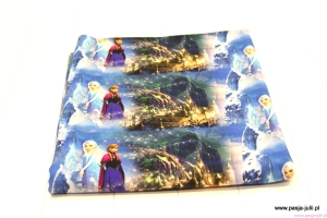 Dresówka pętelka Lodowa Kraina ZAMEK