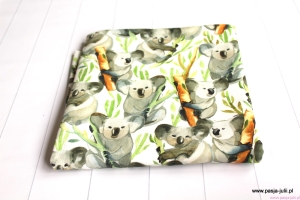 Dresówka pętelka KOALA