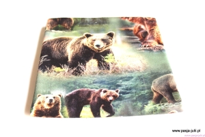 Dresówka pętelka NIEDŹWIEDŹ