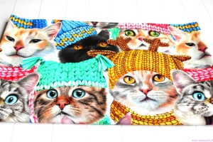 Dresówka pętelka KOTY W CZAPKACH