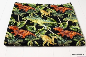 Pikówka dresowa DINOZAURY DRUK CYFROWY