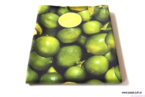 Dresówka pętelka  LIMONKI