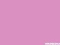 R.png