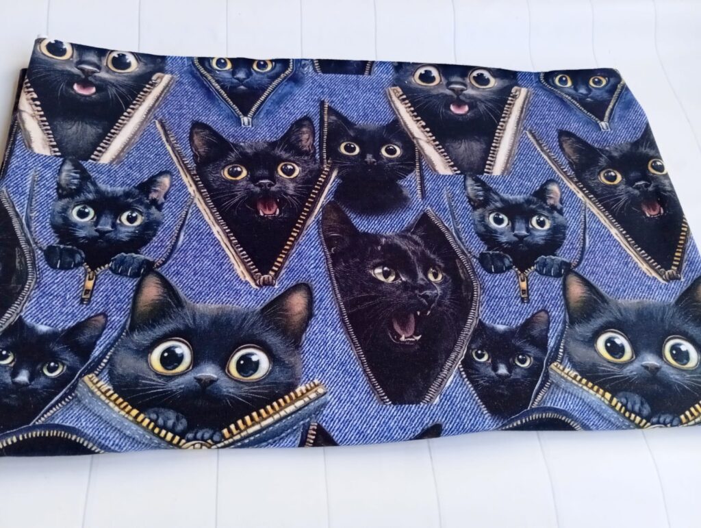Dresówka pętelka KOTY JEANS